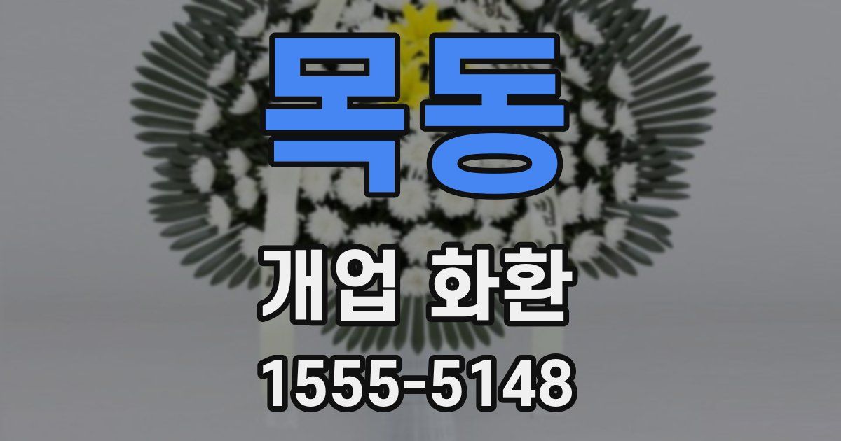 목동 개업 화환