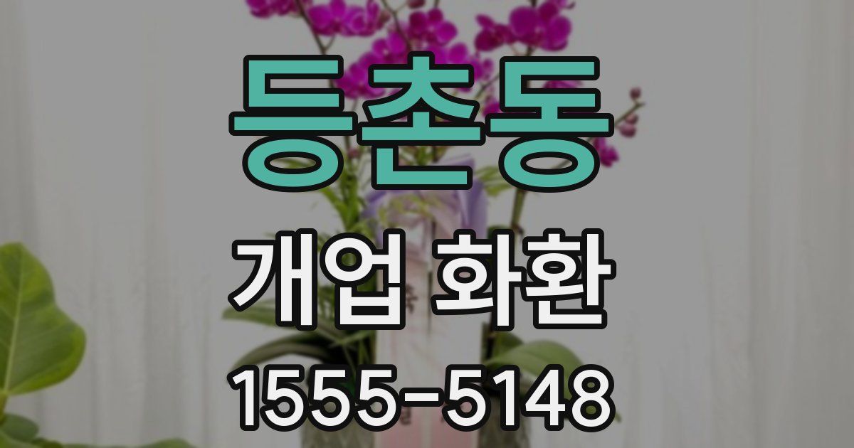 등촌동 개업 화환
