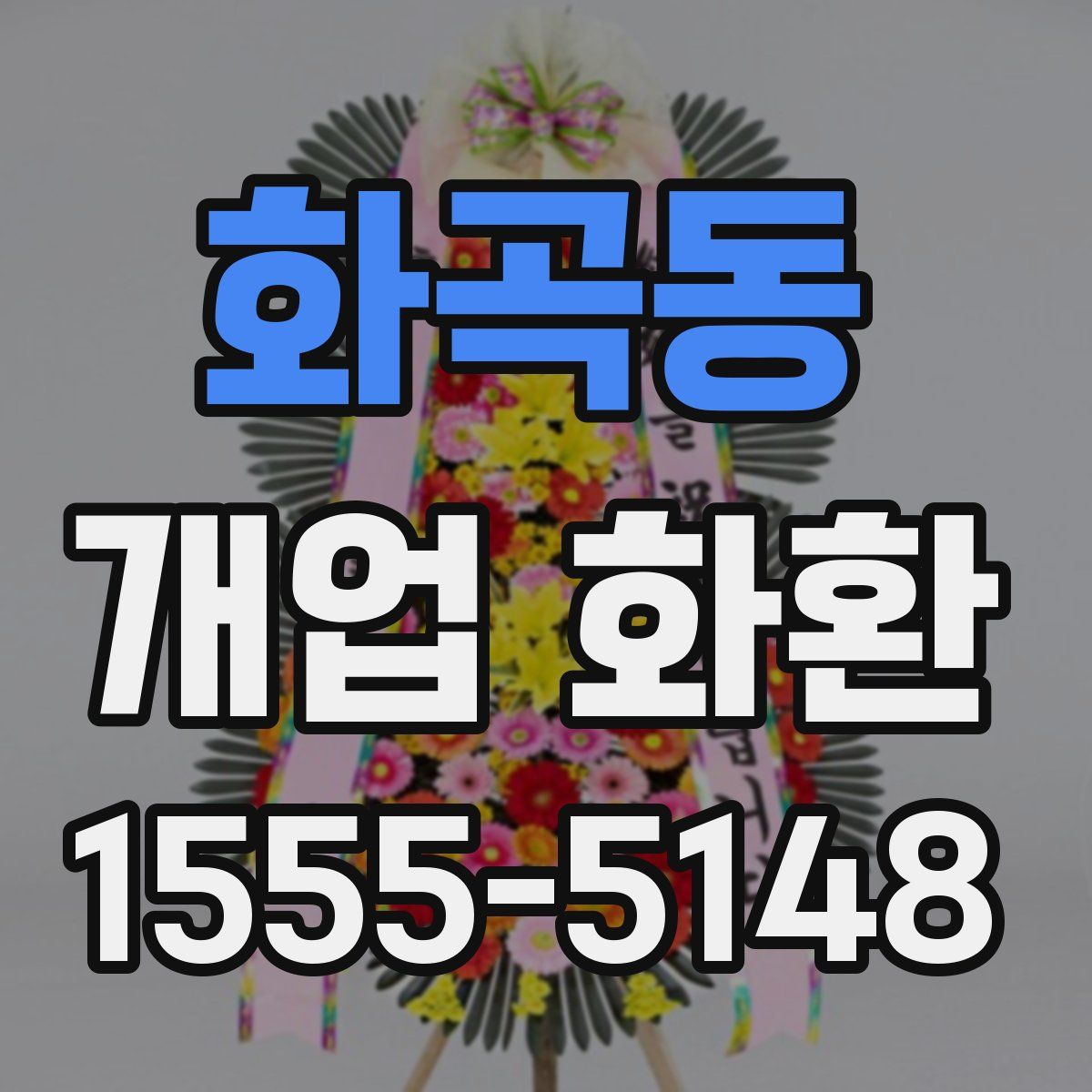 화곡동 개업 화환