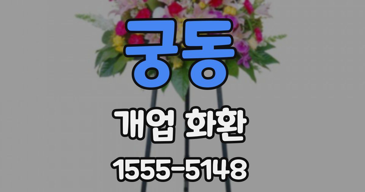 궁동 개업 화환