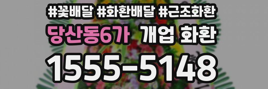 당산동6가 개업 화환