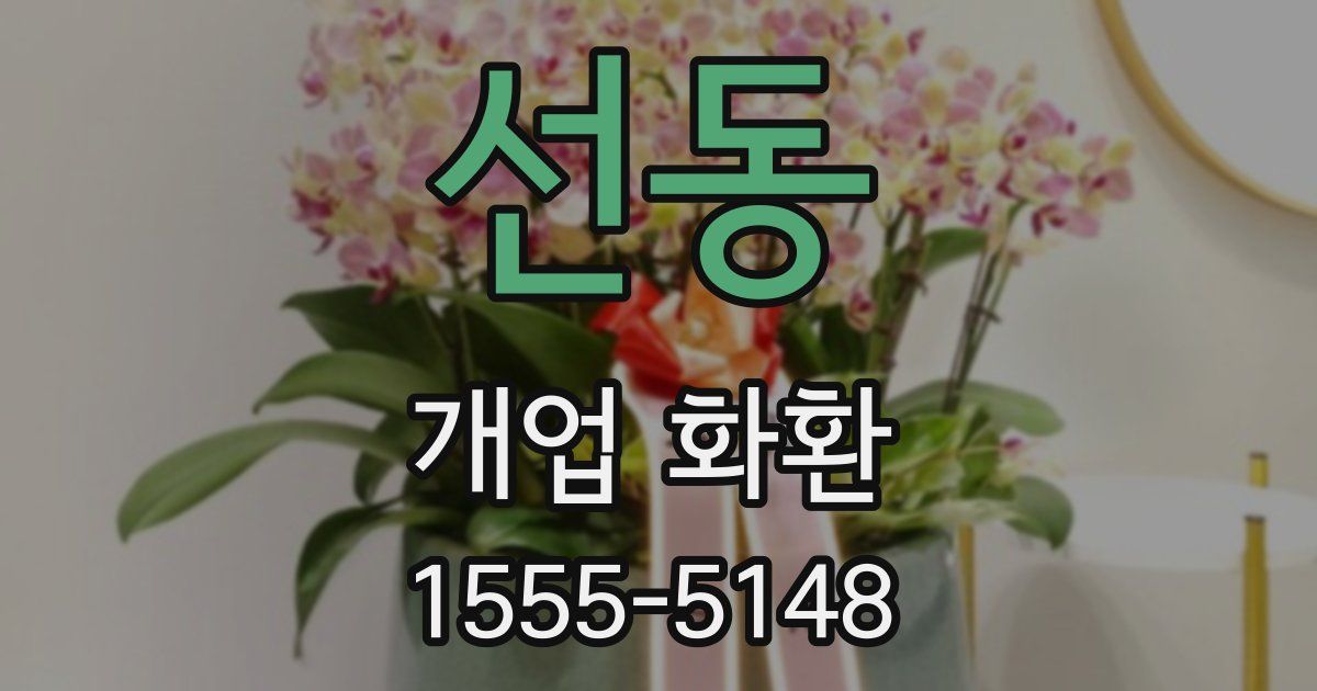 선동 개업 화환