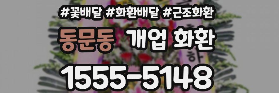 동문동 개업 화환