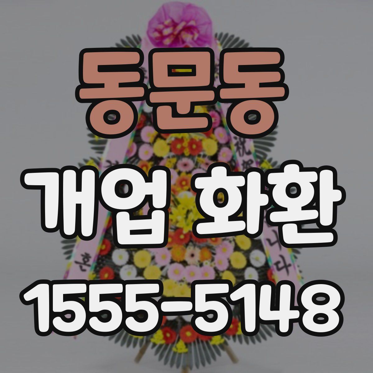 동문동 개업 화환