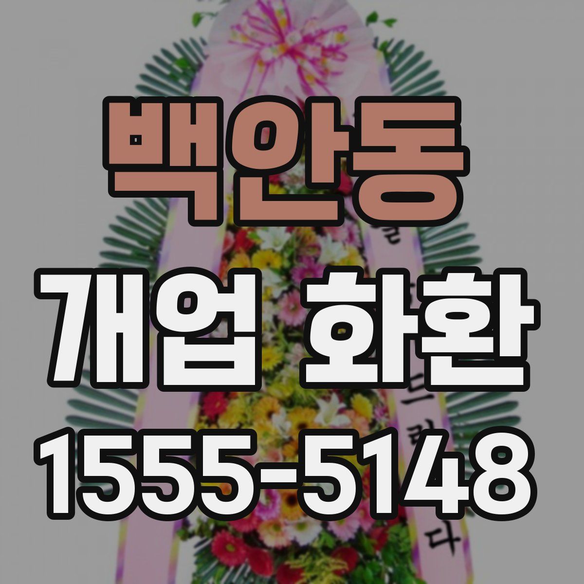 백안동 개업 화환