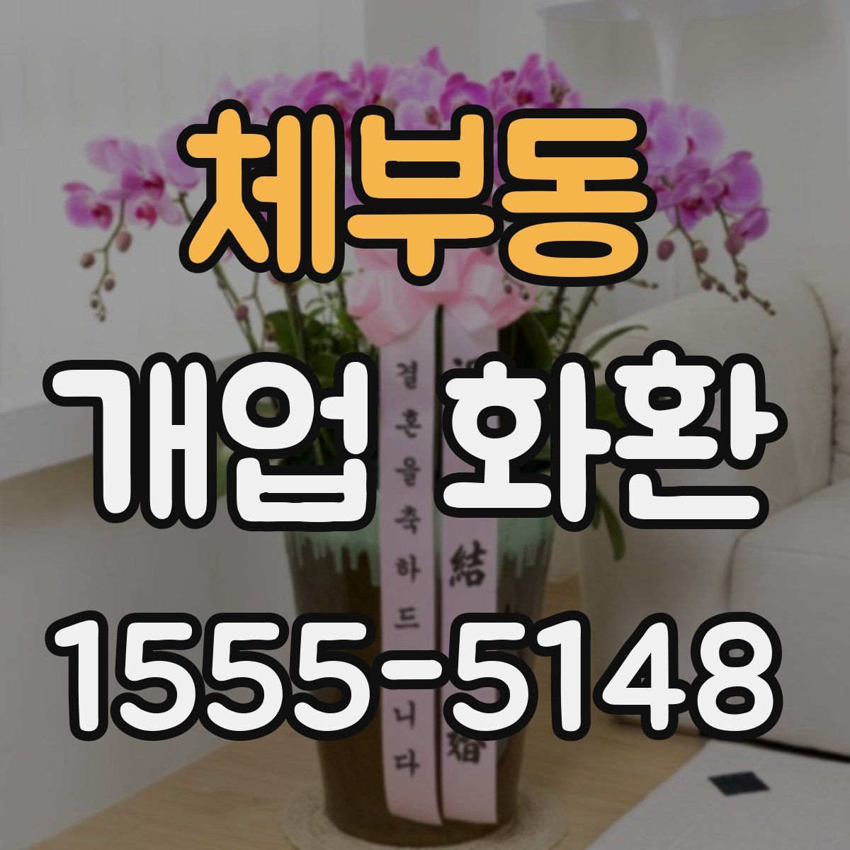 체부동 개업 화환