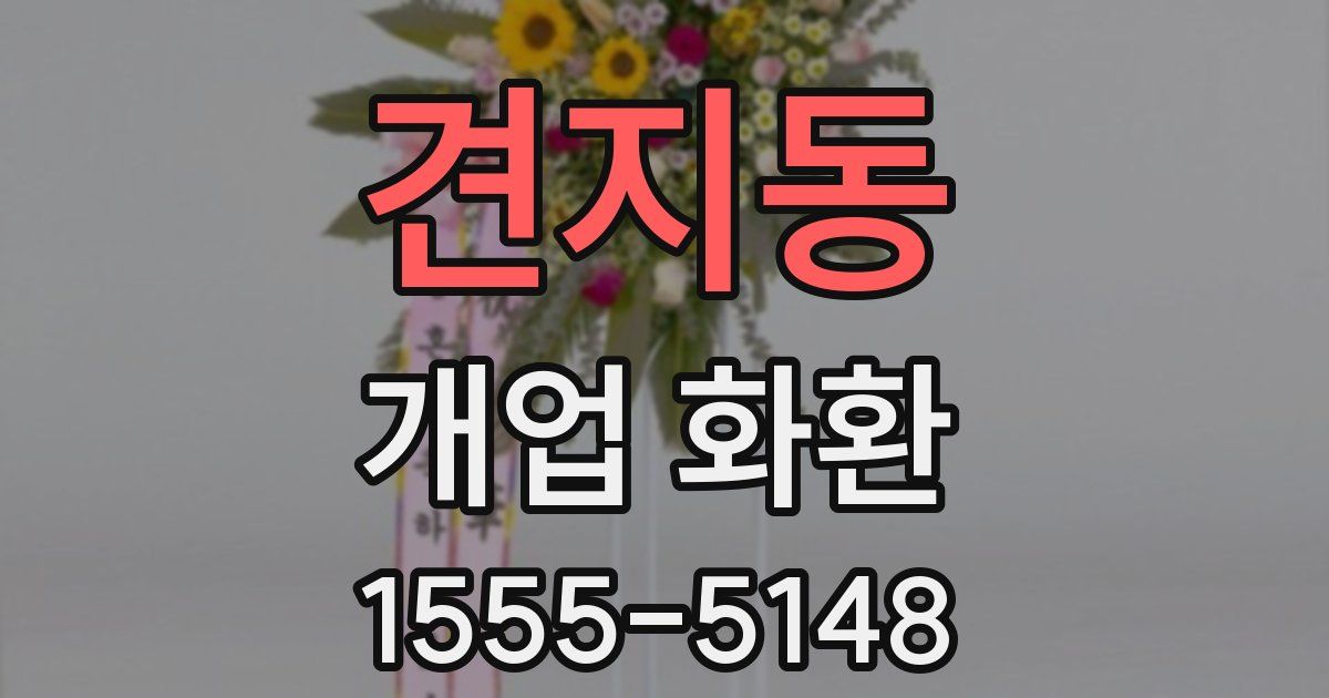 견지동 개업 화환