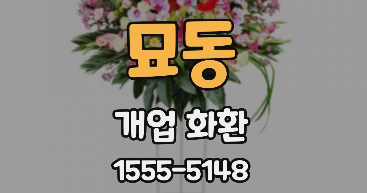 묘동 개업 화환