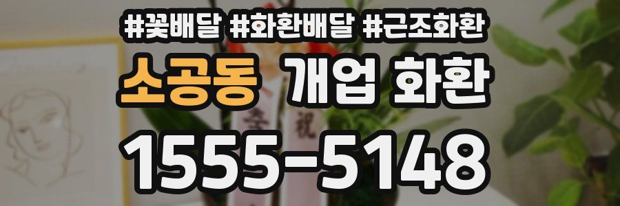 소공동 개업 화환