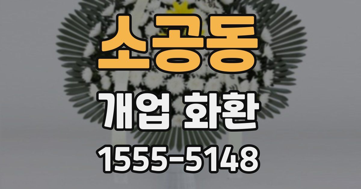 소공동 개업 화환