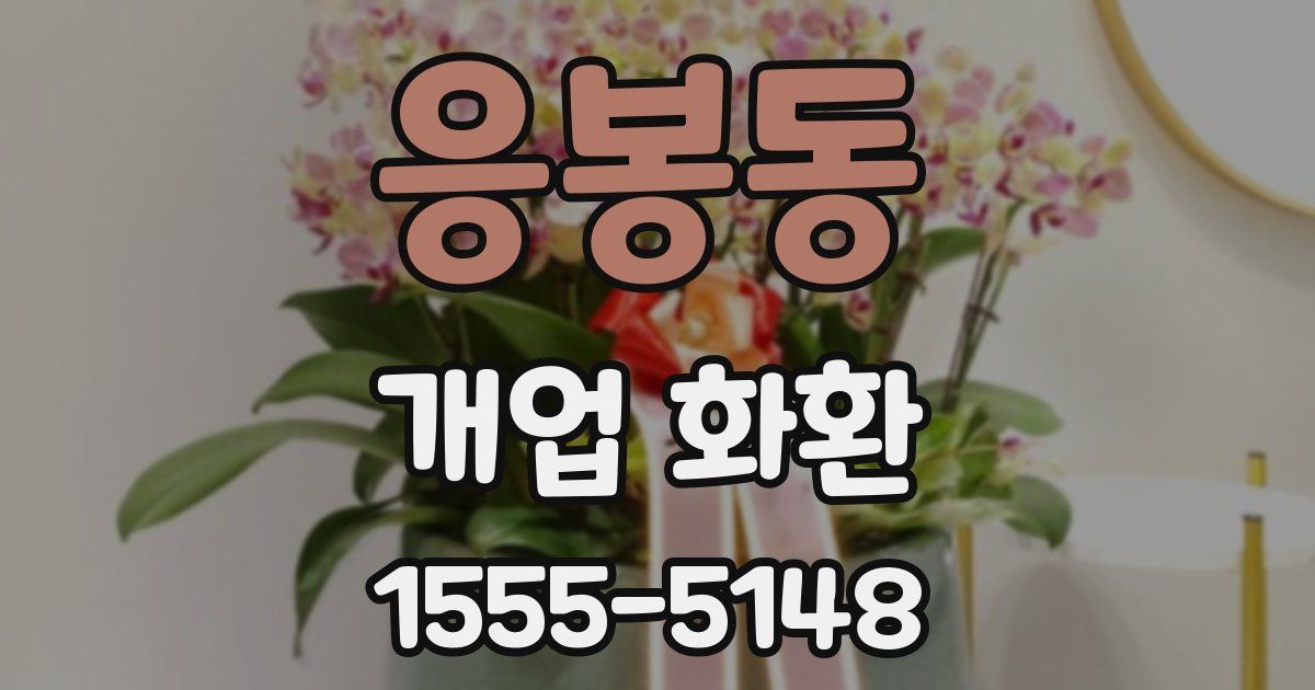 응봉동 개업 화환