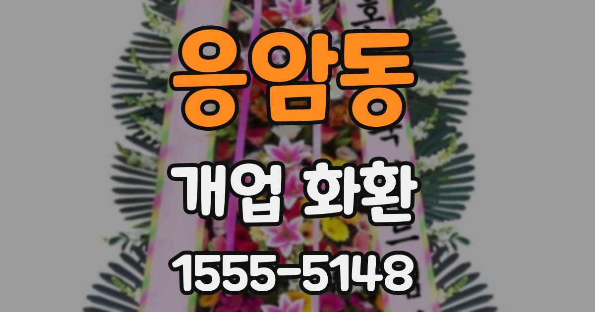 응암동 개업 화환