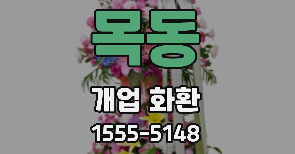 목동 개업 화환