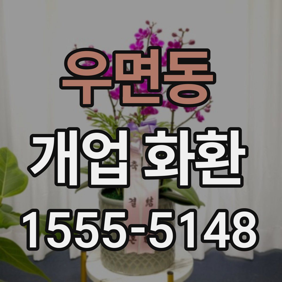 우면동 개업 화환
