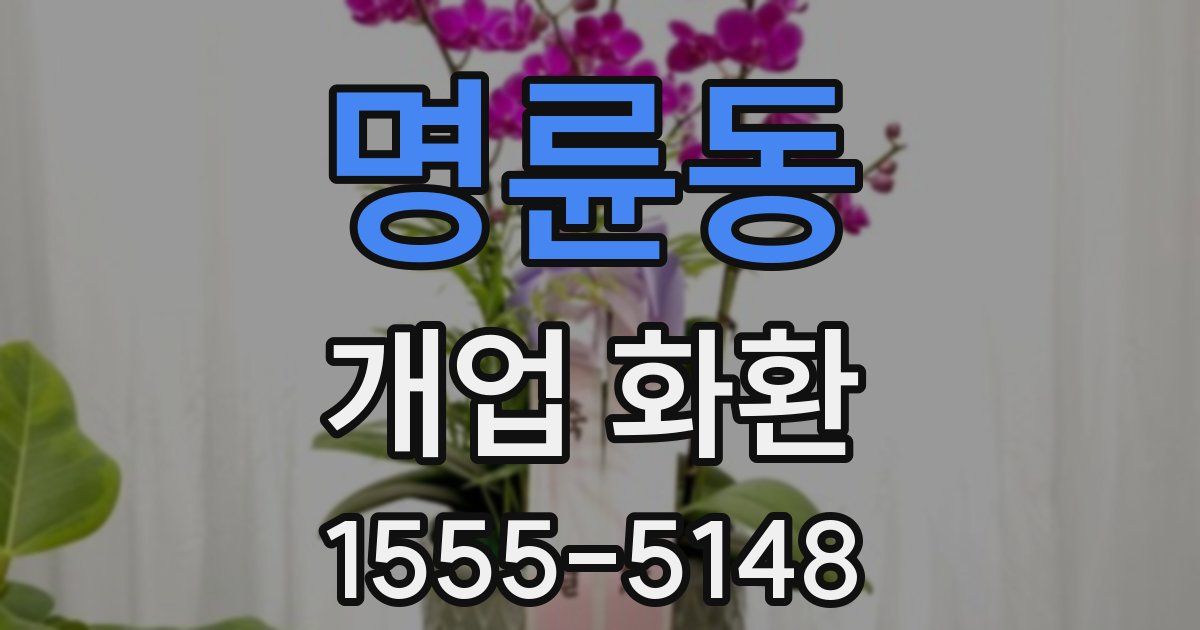명륜동 개업 화환