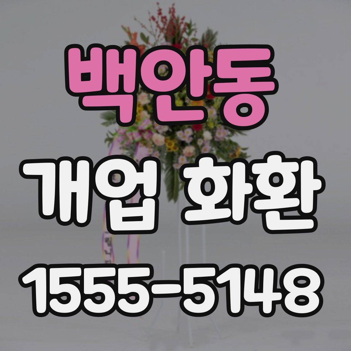 백안동 개업 화환 취향과 예산을 함께 맞추는 법