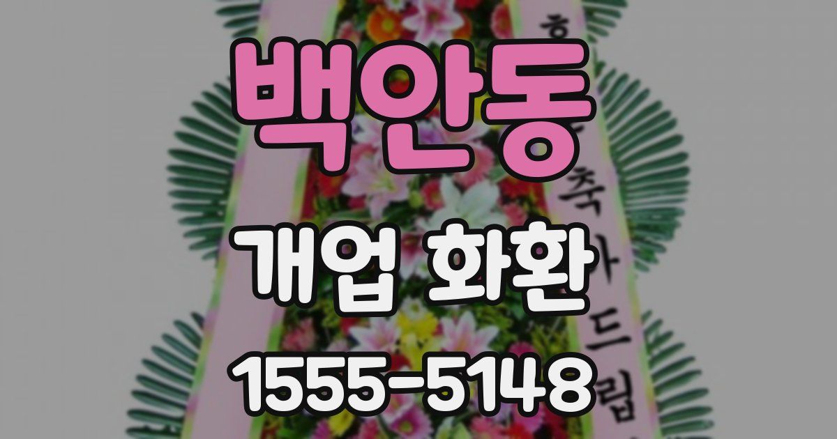 백안동 개업 화환