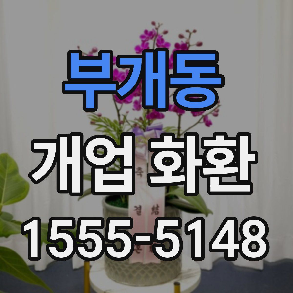 부개동 개업 화환