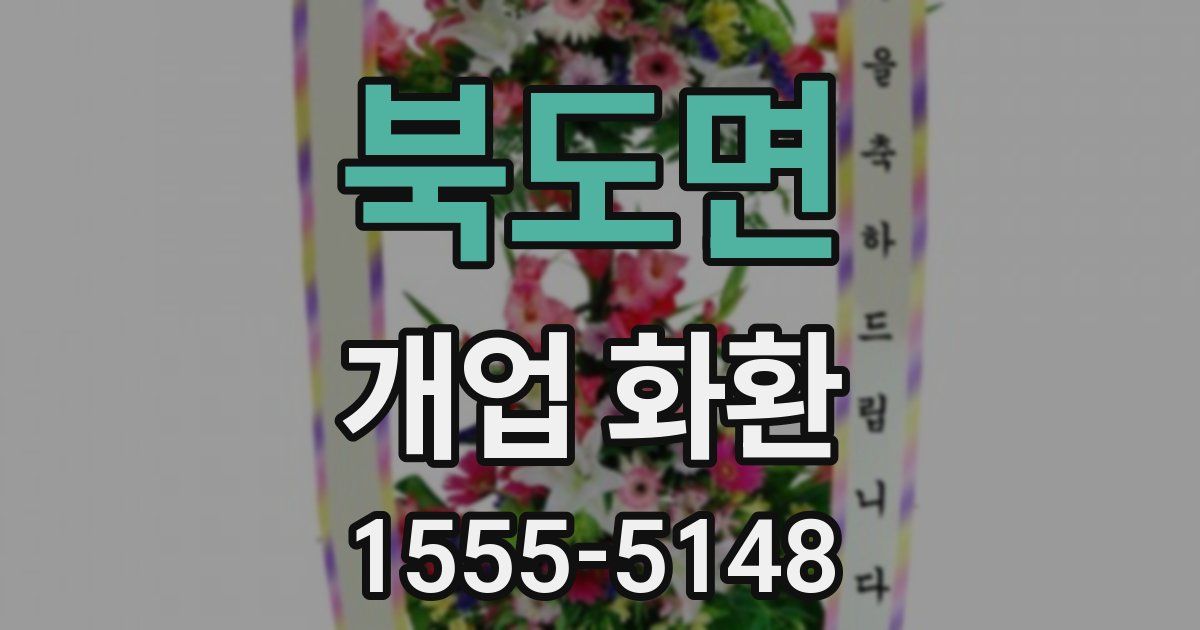 북도면 개업 화환