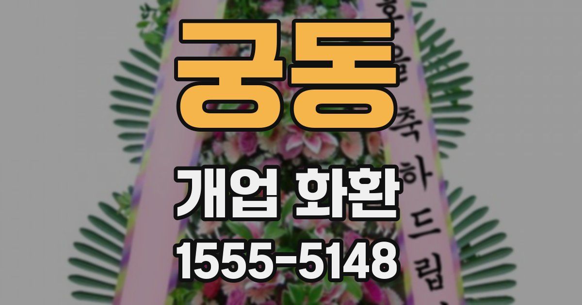 궁동 개업 화환