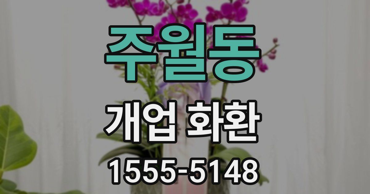 주월동 개업 화환