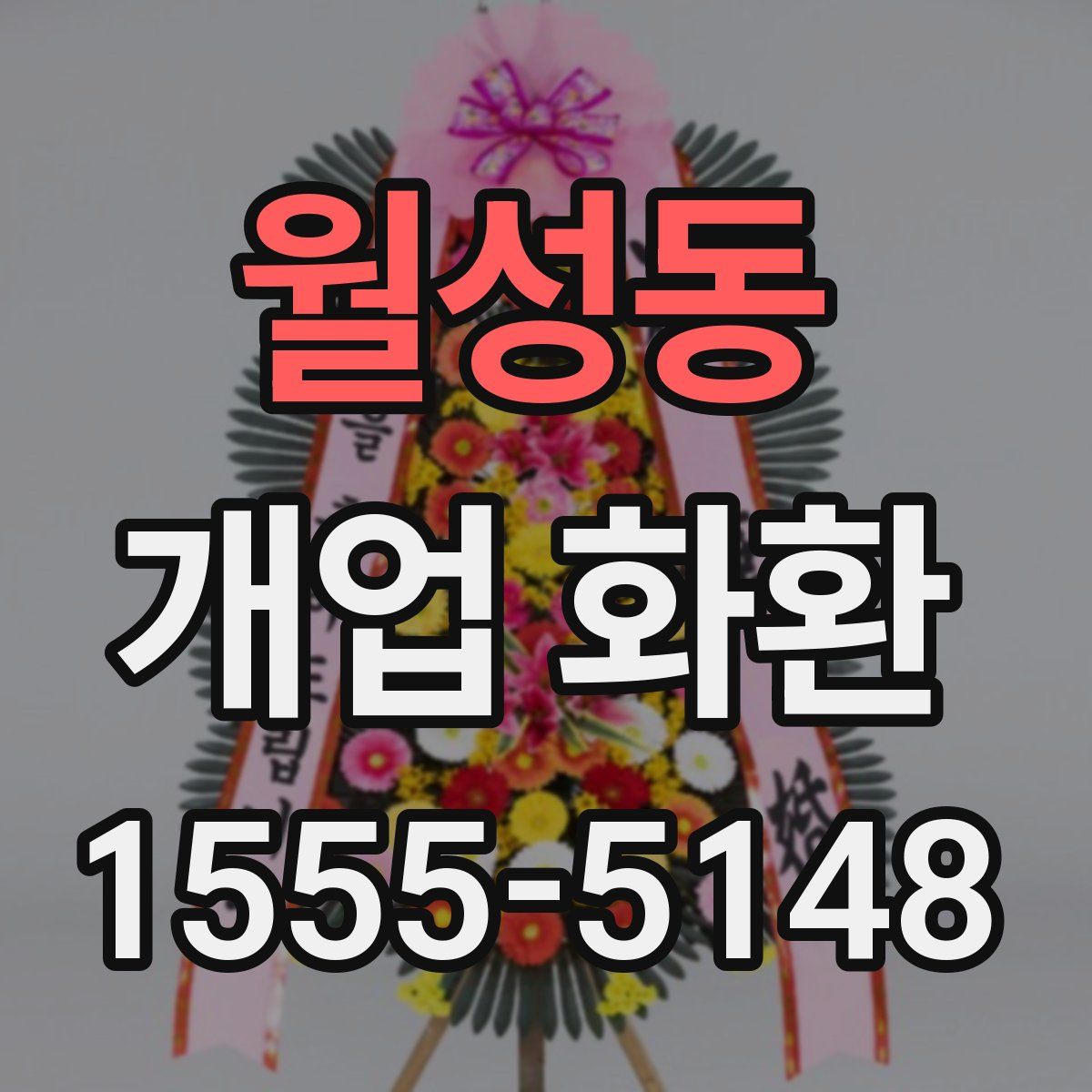 월성동 개업 화환