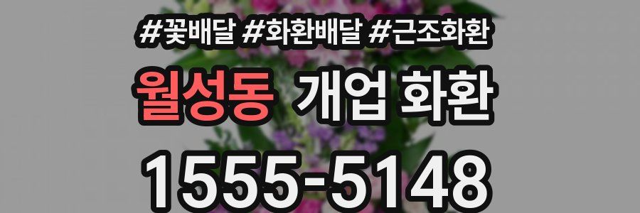 월성동 개업 화환