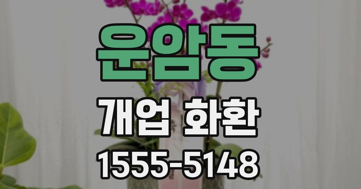 운암동 개업 화환