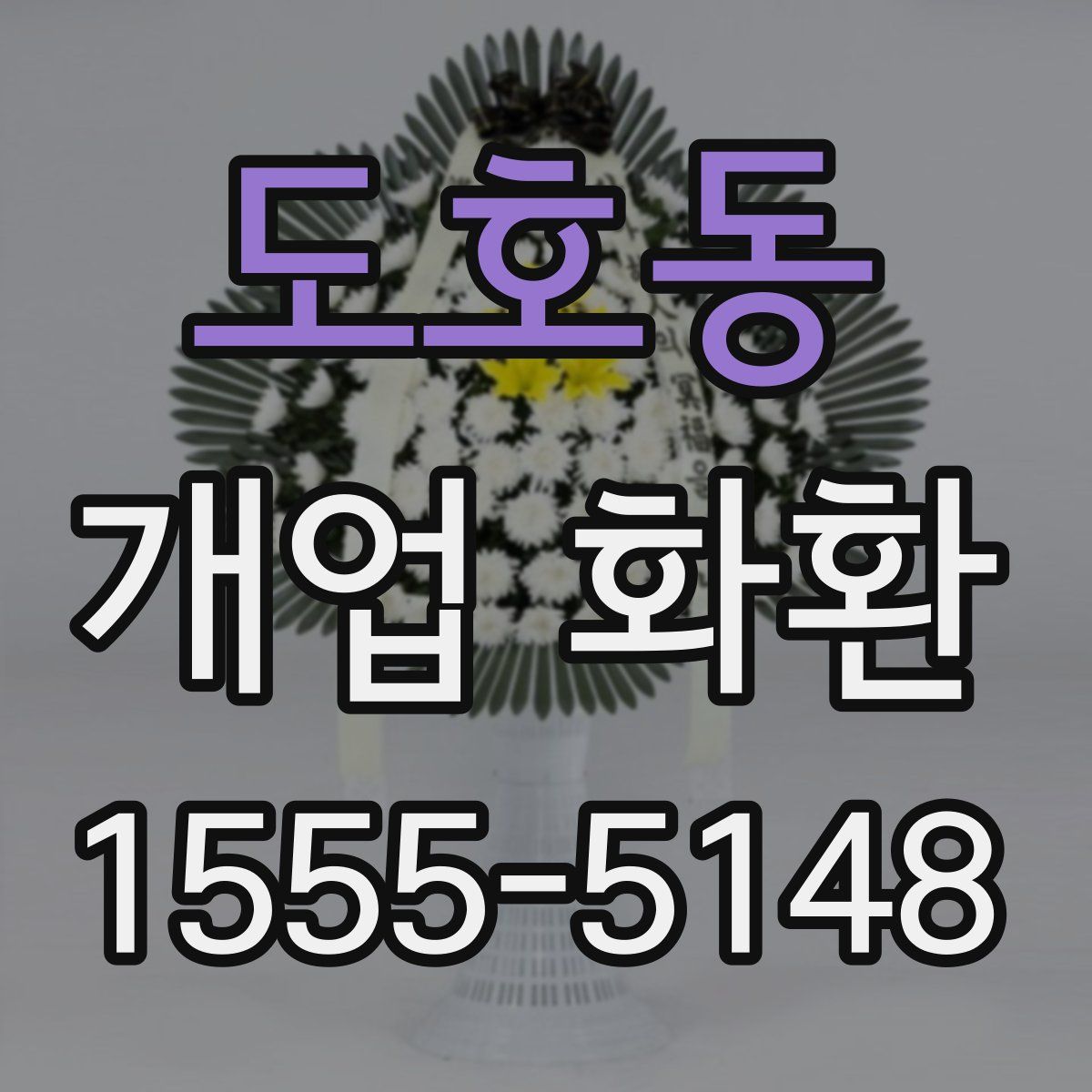 도호동 개업 화환