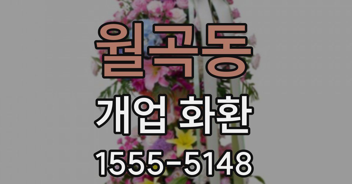 월곡동 개업 화환
