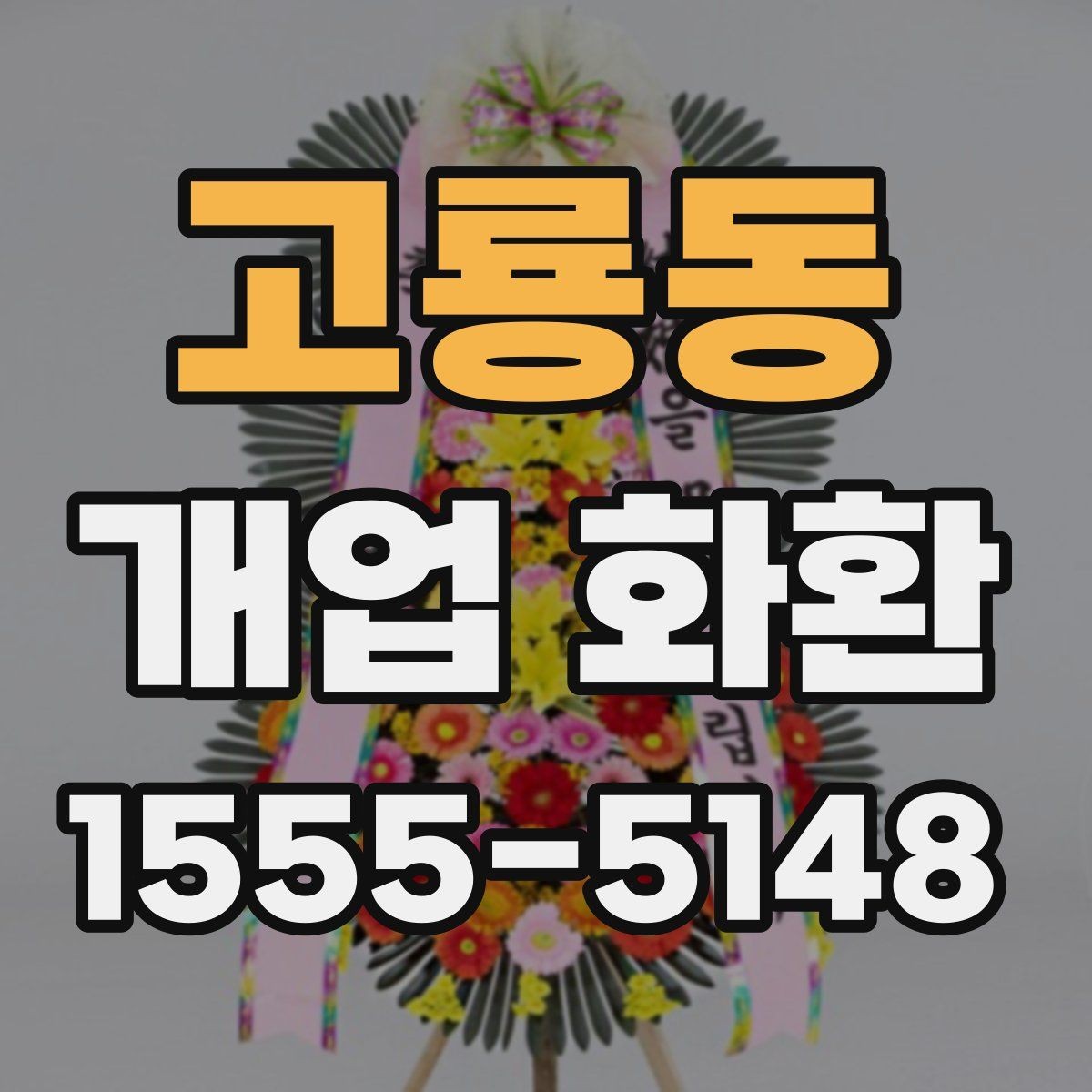 고룡동 개업 화환 화분과 비교해 볼 만한 선택지