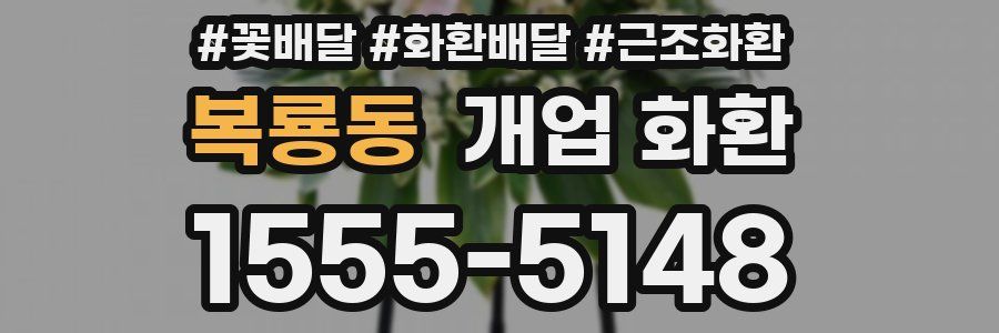 복룡동 개업 화환
