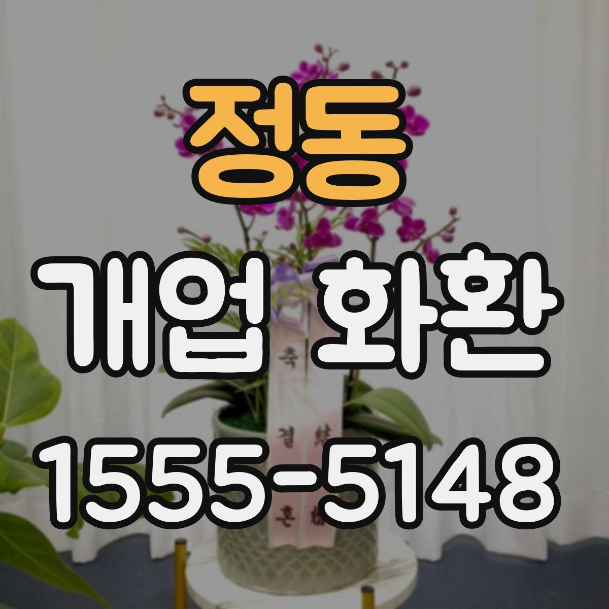 정동 개업 화환