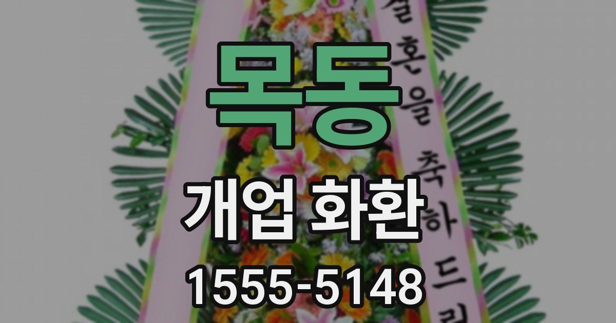 목동 개업 화환