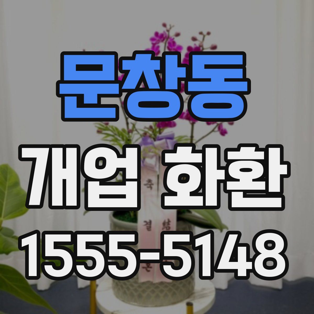 문창동 개업 화환