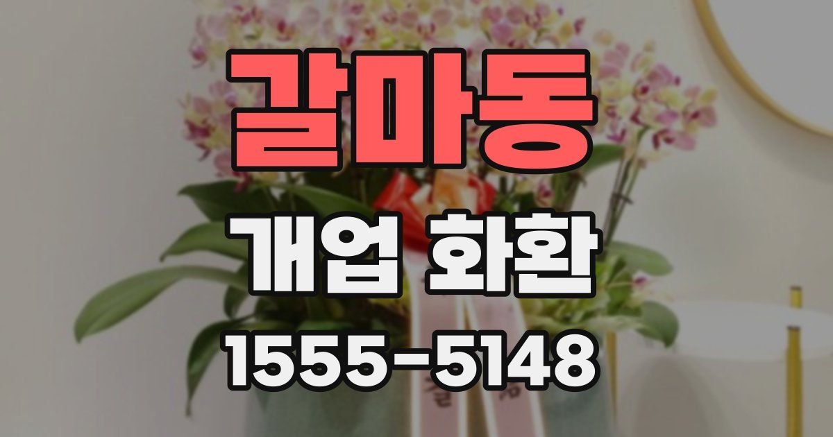 갈마동 개업 화환