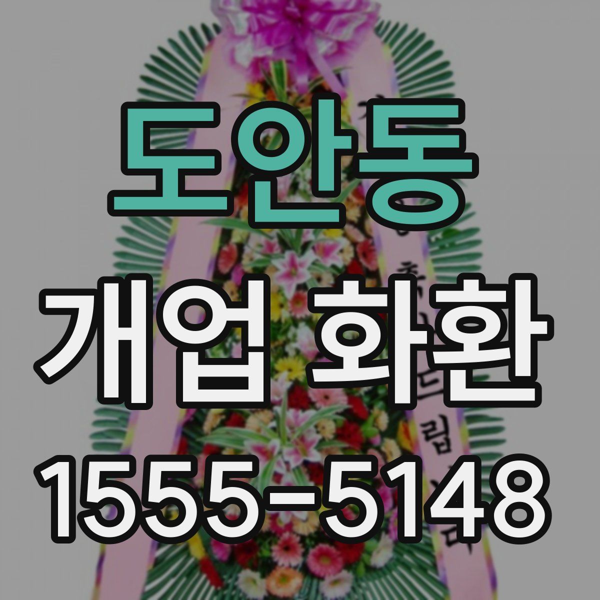 도안동 개업 화환