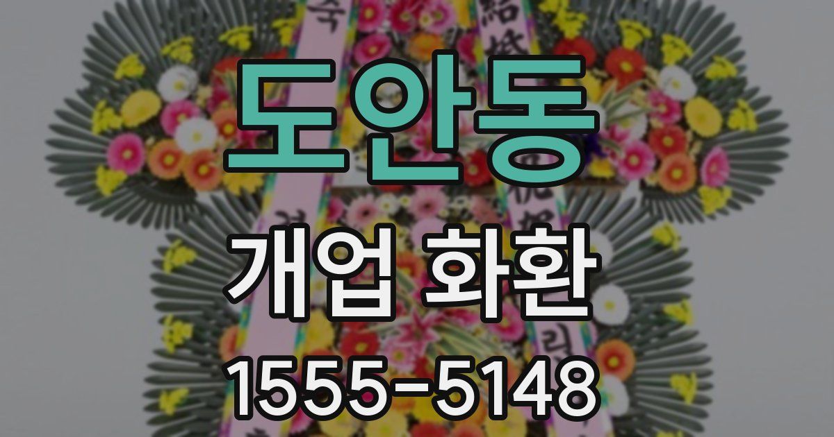 도안동 개업 화환