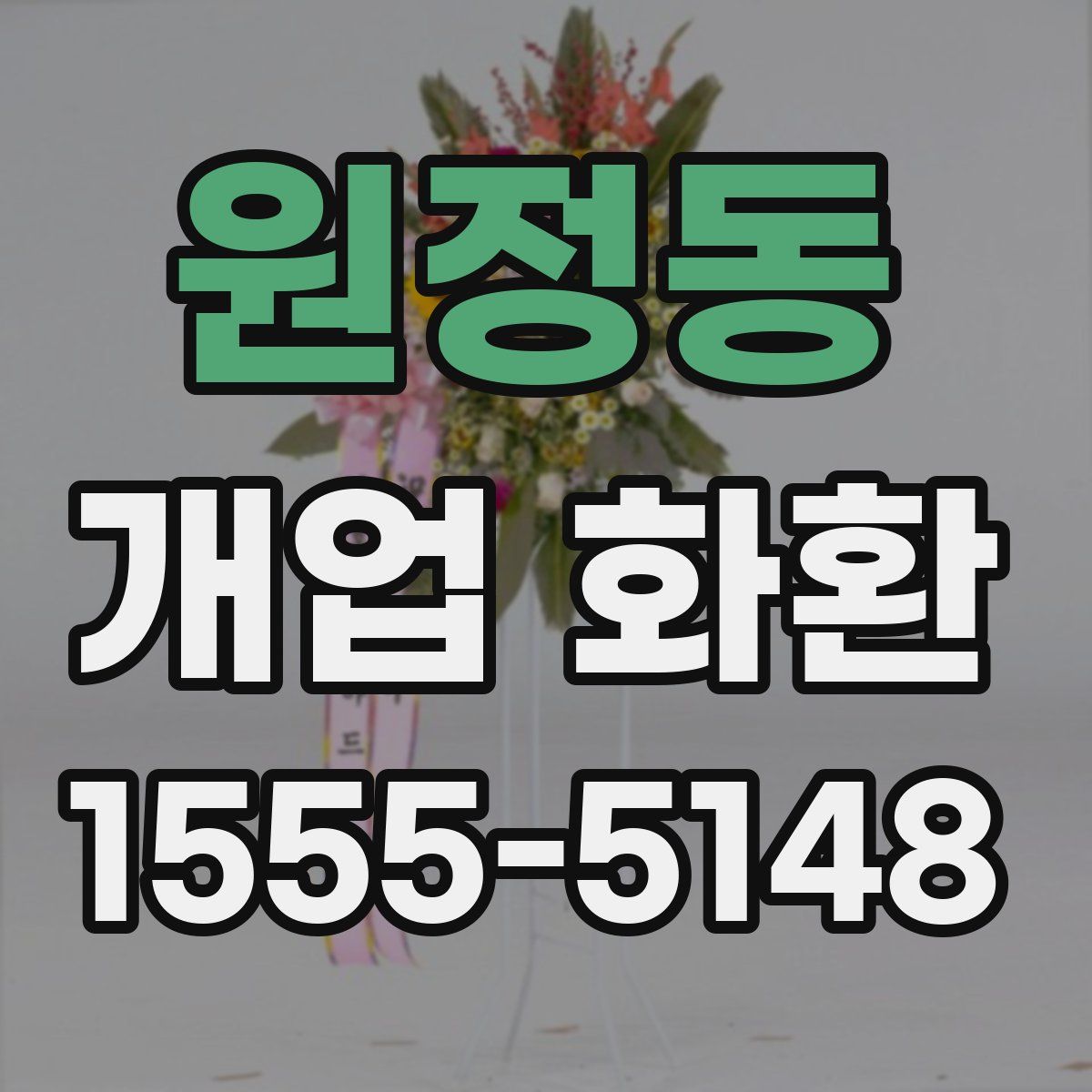 원정동 개업 화환