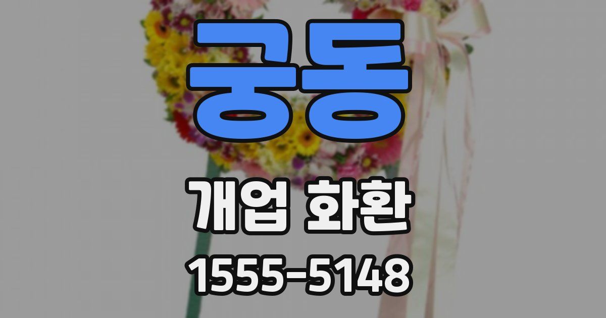 궁동 개업 화환