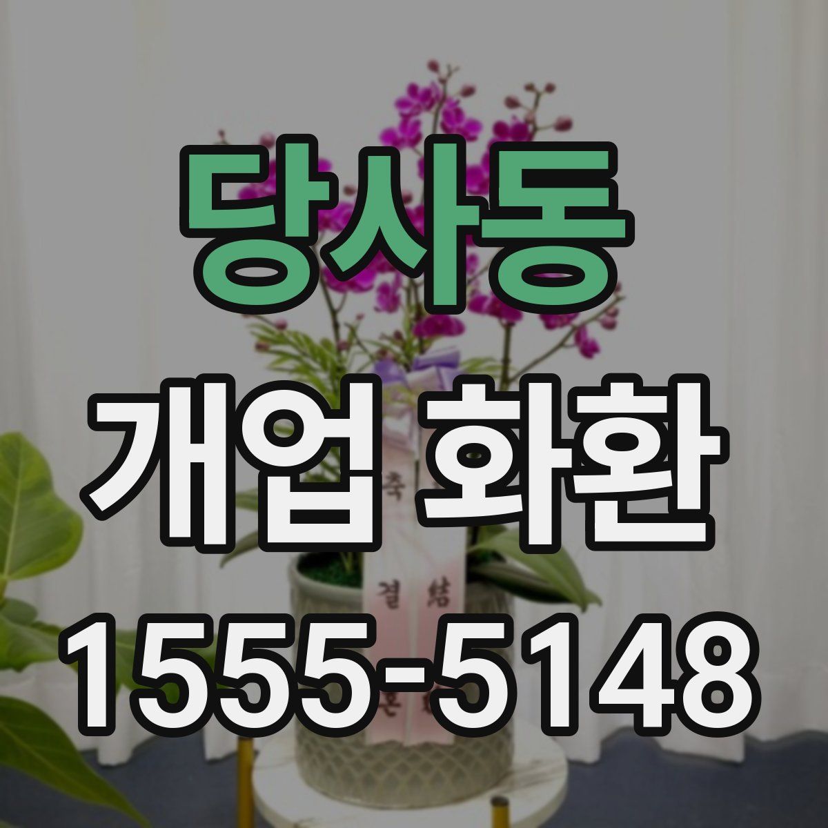 당사동 개업 화환