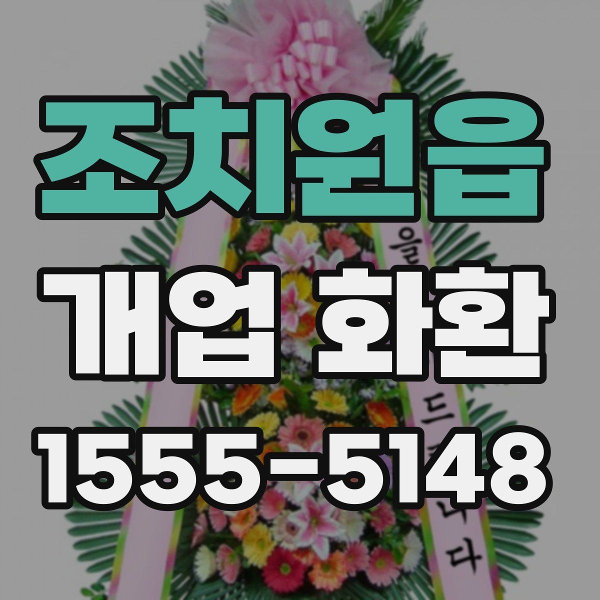 조치원읍 개업 화환