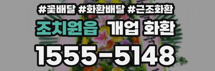 조치원읍 개업 화환