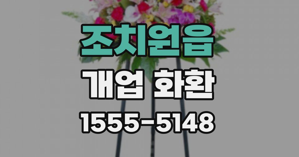 조치원읍 개업 화환