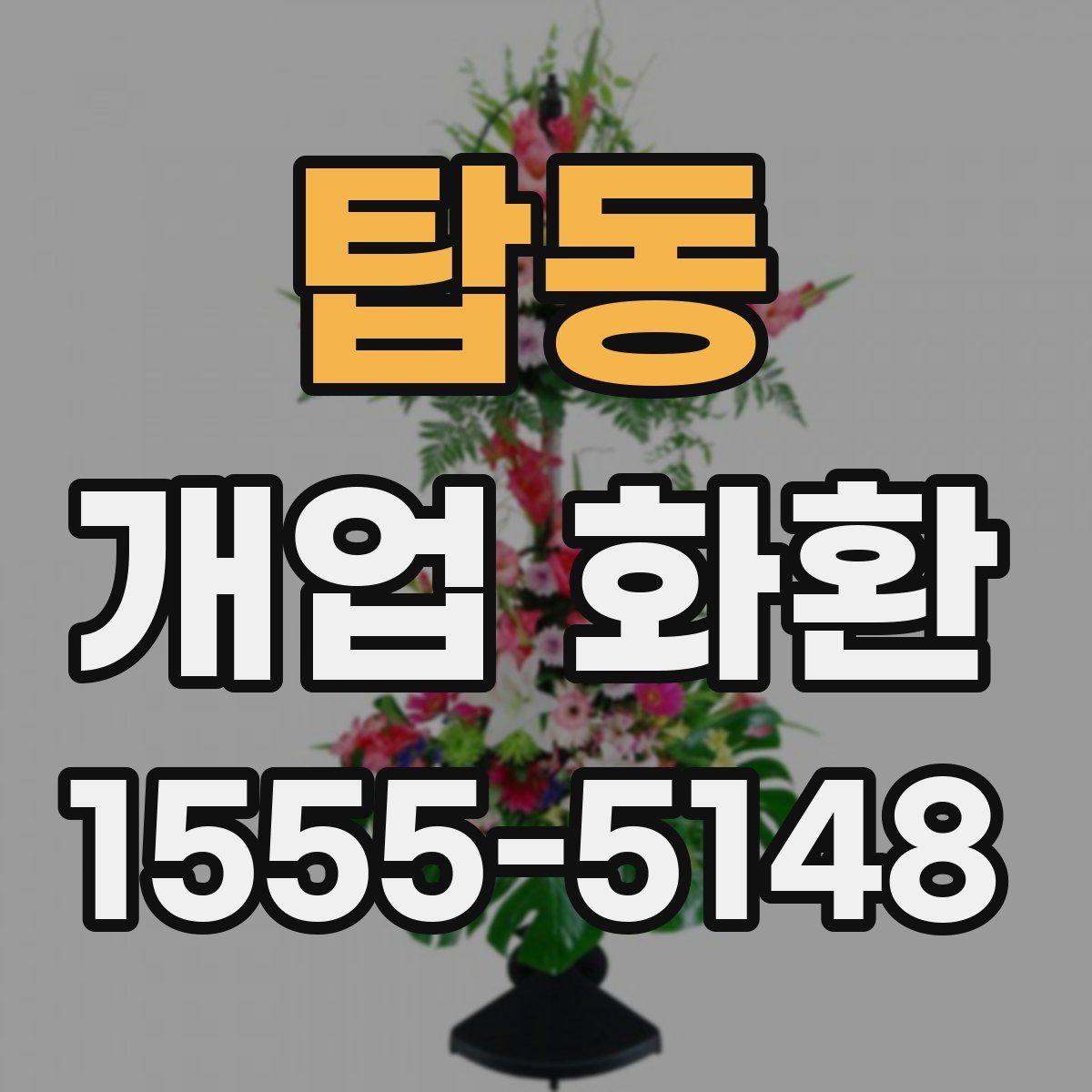 탑동 개업 화환