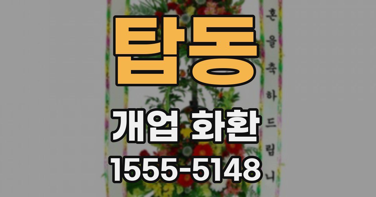 탑동 개업 화환