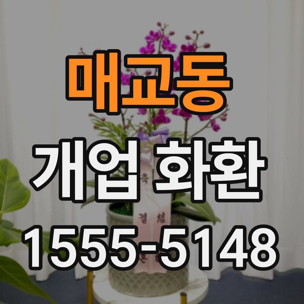 매교동 개업 화환 예약 시 알아두면 편한 팁