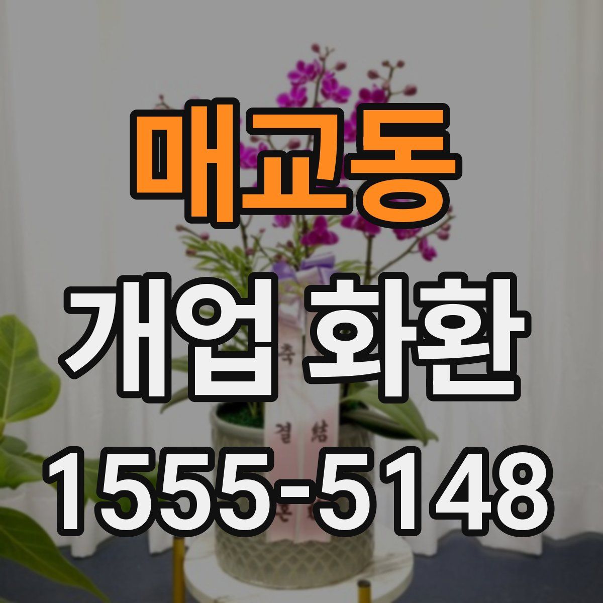 매교동 개업 화환
