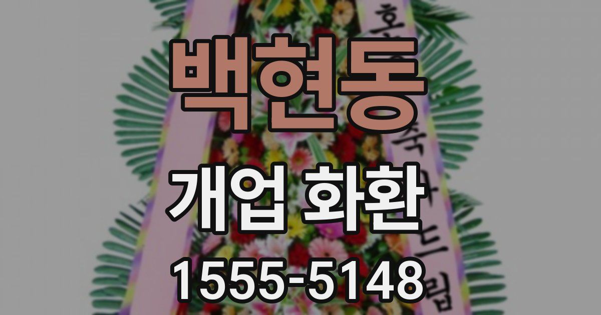 백현동 개업 화환