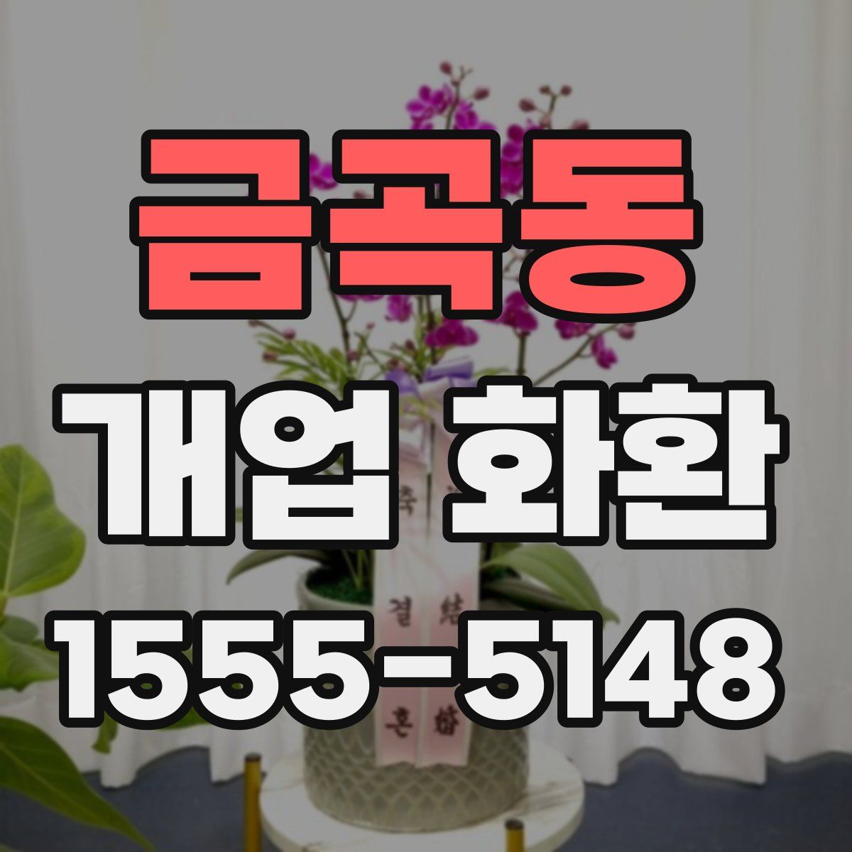 금곡동 개업 화환